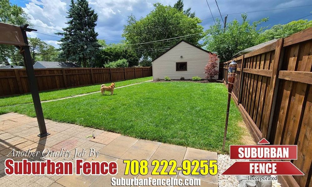Choosing The Right Fence For Your Dog