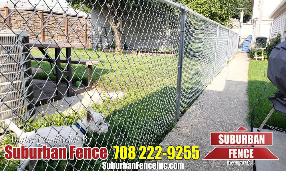 Dog Fences For Improved Level Of Security