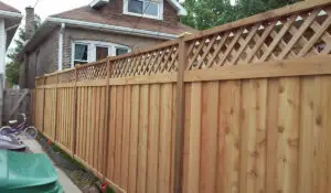 Wooden fence panels in a backyard.