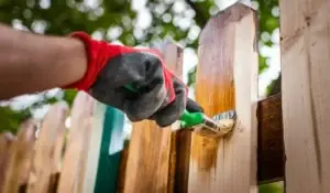A person wearing red gloves applies protective wood stain to a fence to prevent wood fence decay and weather damage.