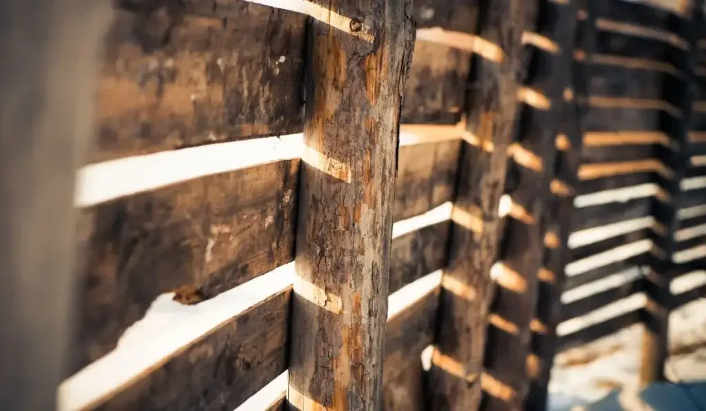 Close-up of a rotting wooden fence panel showing signs of wear and decay.