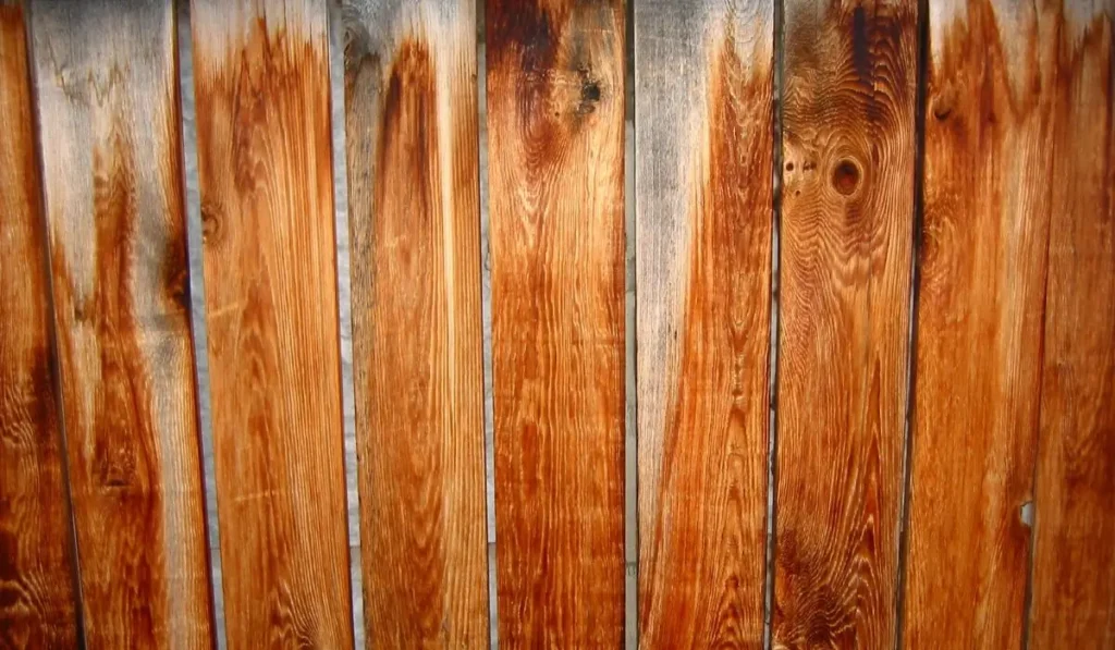 Close-up of wet wooden fence boards showing moisture damage after heavy Chicago rains in a backyard setting.