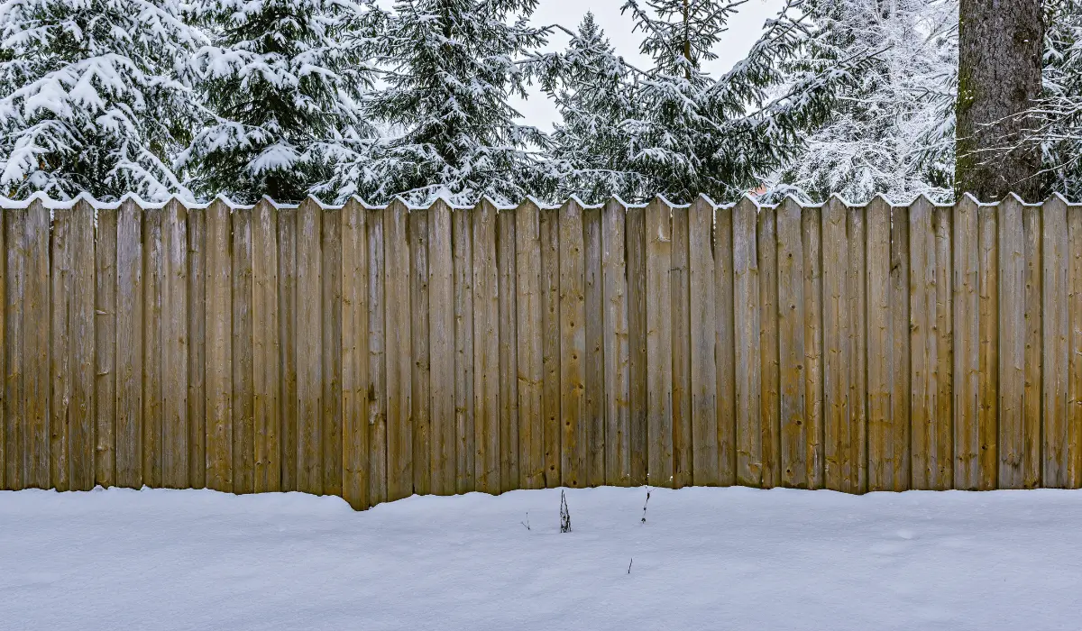 Tall wooden privacy fence surrounded by snow and pine trees during a harsh winter in Chicago.