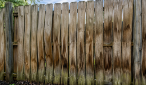 Wood fence warping with twisted pickets showing moisture damage and bottom-edge deterioration across multiple fence boards.